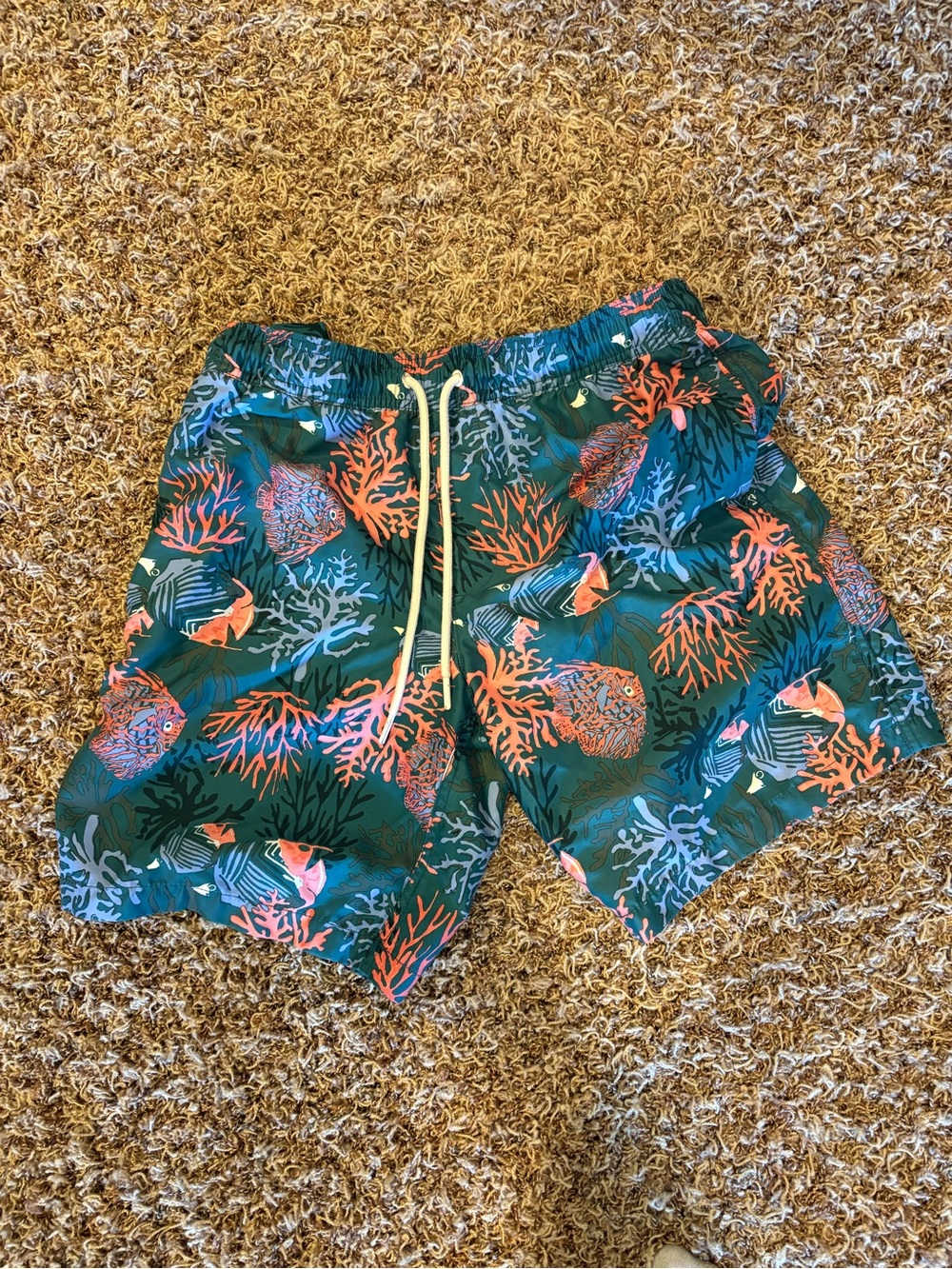 Amazon Essentials Men's Green Swim Shorts with Coral & Blue Reef Print